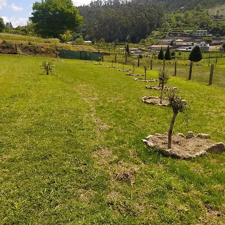 Chalé Quinta Dos Campos - Chale *