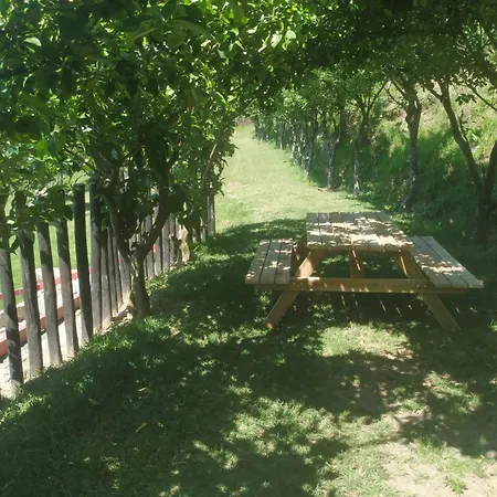 Chalet Quinta Dos Campos - Chale *