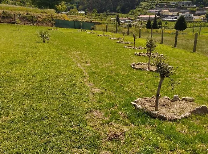 Chalé Quinta Dos Campos - Chale *