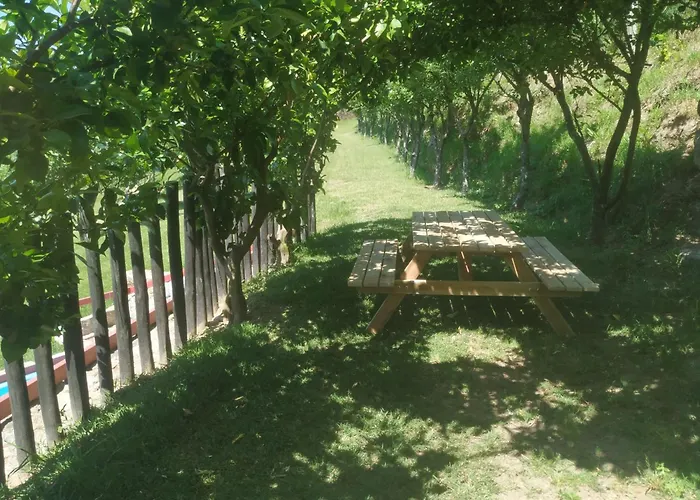 Chalé Quinta Dos Campos - Chale *