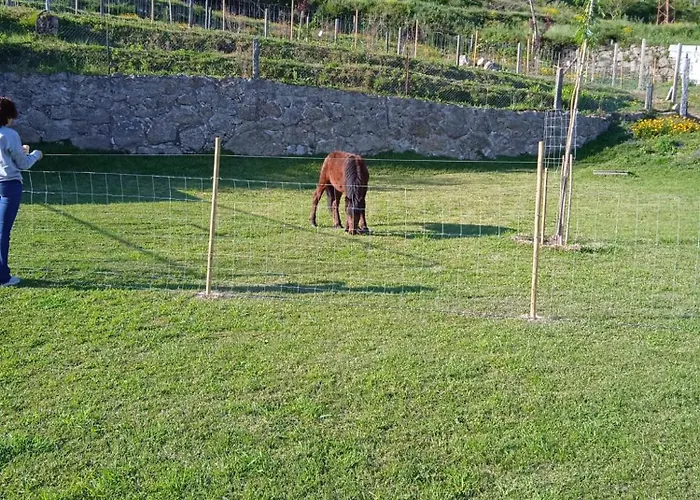 Chalé Quinta Dos Campos - Chale